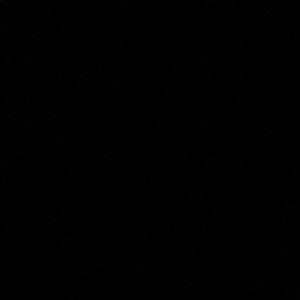 Meet your Posher, Norman